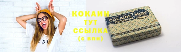 дмт Апатиты