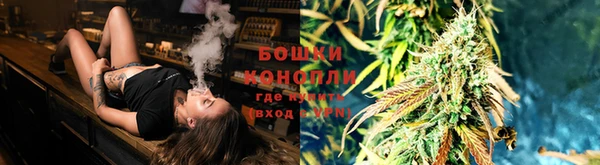 метадон Анива