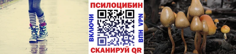 Галлюциногенные грибы Psilocybe  Воронеж 