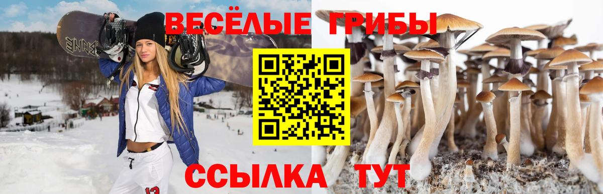Псилоцибиновые грибы GOLDEN TEACHER Воронеж